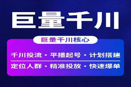 行业领先企业的网络推广与竞价经验